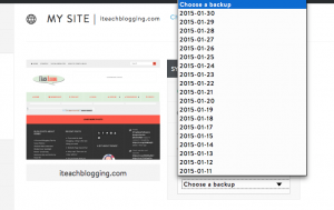 wordpress-hosting-company