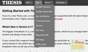 Thesis Theme Google Analytics Code