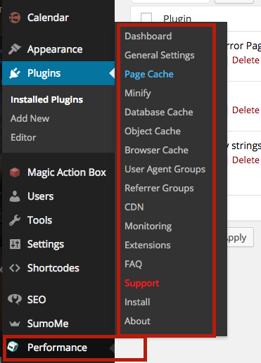 w3-total-cahce-options