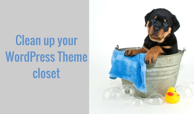 WordPress Theme Optimization