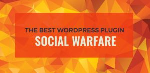 Social Warfare Review